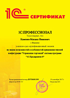 1С:Профессионал. Управление торговлей 8