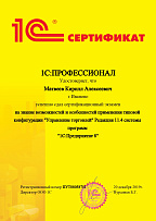 1С:Профессионал. Управление торговлей 8 Редакция 11.4