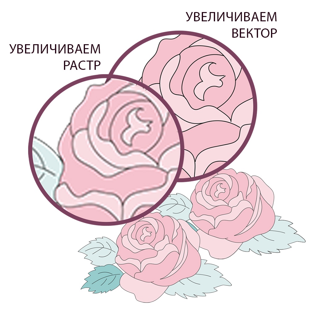 Что такое вектор?